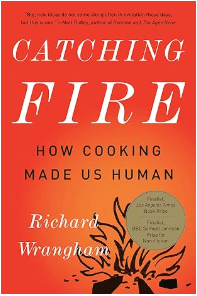 Catching Fire: How Cooking Made Us Human